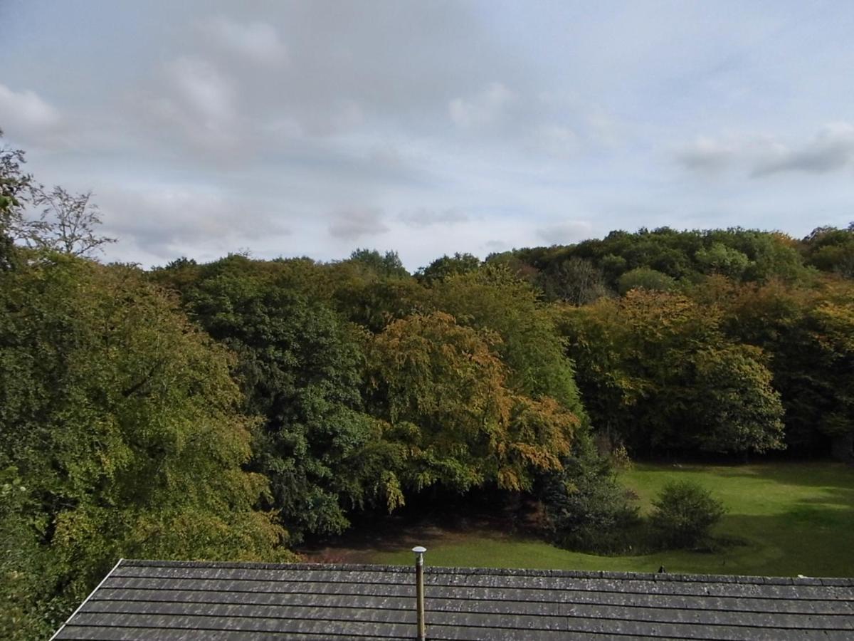 The Mill At Glynhir Bed & Breakfast Ammanford Luaran gambar